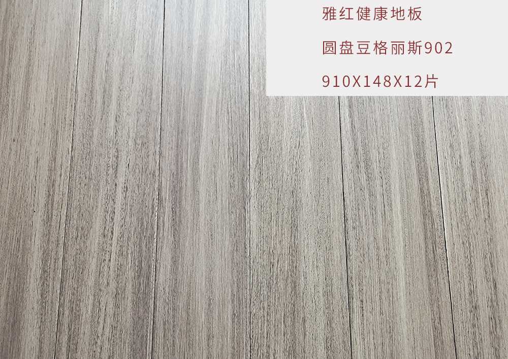 圆盘豆格丽斯902